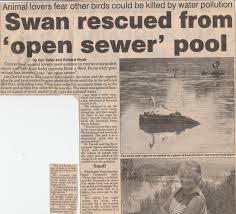 Image result for Millbrook Smbc