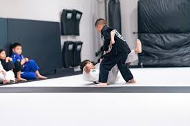 Image result for Devon Brazilian Jiu-Jitsu