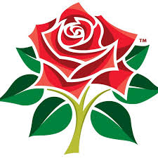 Image result for Paul Cricket Club