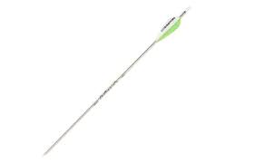 Image result for Silver Arrow Archery