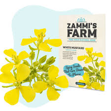 Attēlu rezultāti vaicājumam “Sinapis alba”