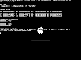 Image result for kernel panic snow leopard