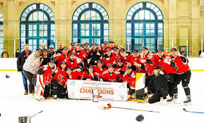 Image result for Basingstoke Buffalo