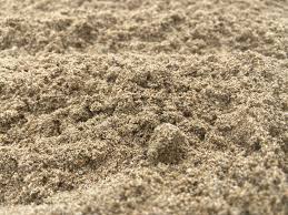 Image result for Padstow Sac