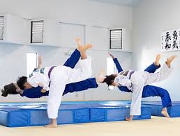 Image result for Holbrook Judo Club