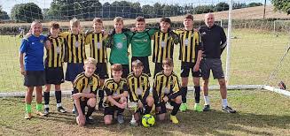 Image result for Wasps Football Club