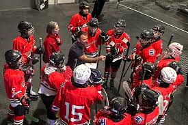 Image result for Streatham Youth Ice Hockey Club
