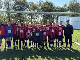 Image result for Louth United Football Club