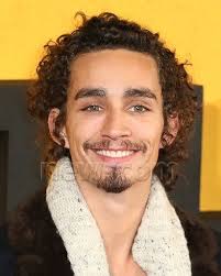 Image result for Robbie Sheehan