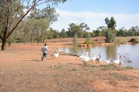 Image result for Charville Chasers