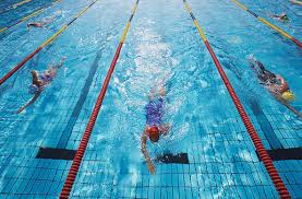 Image result for Havers Park Bowls Club