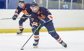 Image result for New Milton Hockey Club