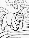 Bear coloring page