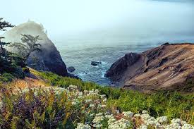 Image result for Lincoln City