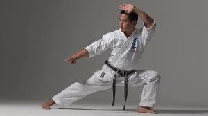 Image result for Seiki Juku Karate Organisation