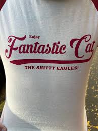 Image result for Raglan Eagles Senior Badminton Club