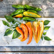 Afbeeldingsresultaat voor marconi golden sweet pepper