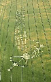 Image result for crop circles