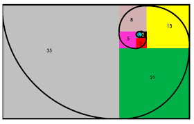 Image result for numero aureo