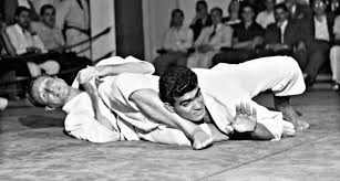 Image result for Brazilian-martial arts