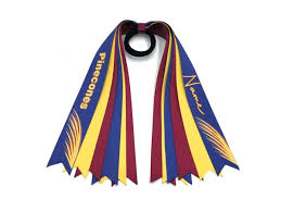 Image result for Genesis Netball Club