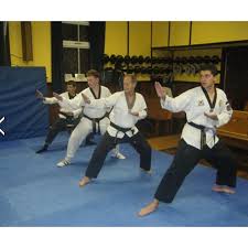 Image result for Torbay Taekwondo Schools