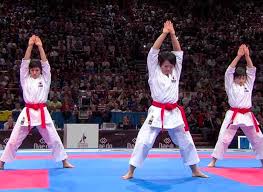 Image result for Red Dragon Taekwondo club