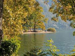 Image result for "Parco Ciani"