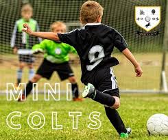 Image result for Ashtead Football Club