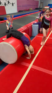 Image result for Cardiff Olympic Gymnastics Club