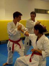 Image result for Dumfries Wado Ryu  Karate club