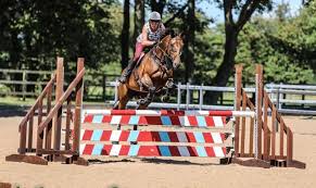 Image result for East Flegg Riding Club