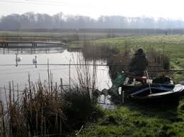 Image result for Dunham Massey Angling Club