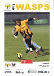 Image result for East Grinstead Town Football Club