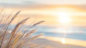 Image result for bilder