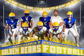 Image result for Lyndhurst Football Club