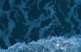 Image result for Wild Water Planet