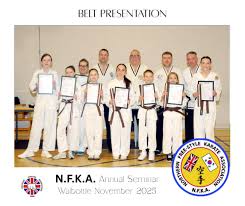 Image result for Northern Freestyle Karate Association