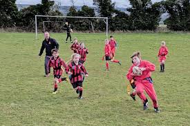 Image result for Hungerford Rfc