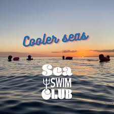 Image result for Bournemouth Spartans Winter Sea Swimming Club