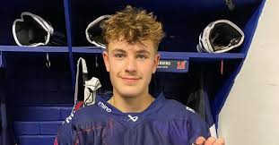 Image result for Basingstoke Bison Ice Hockey Club