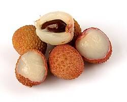 Image result for Litchi chinensis