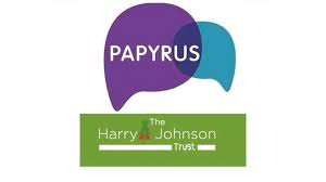 Image result for Lawley Lightmoor Comets Football Club