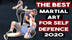 Image result for Combined self defence arts