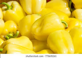 Afbeeldingsresultaat voor baby yellow sweet pepper