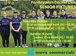 Image result for Pontblyddyn Cricket Club