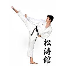 Image result for Jodan Karate