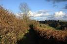Runaway Lane. Looking along this green lane towards Modbury, - via Daymix