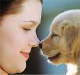dogs care
