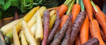 Image result for Möhren